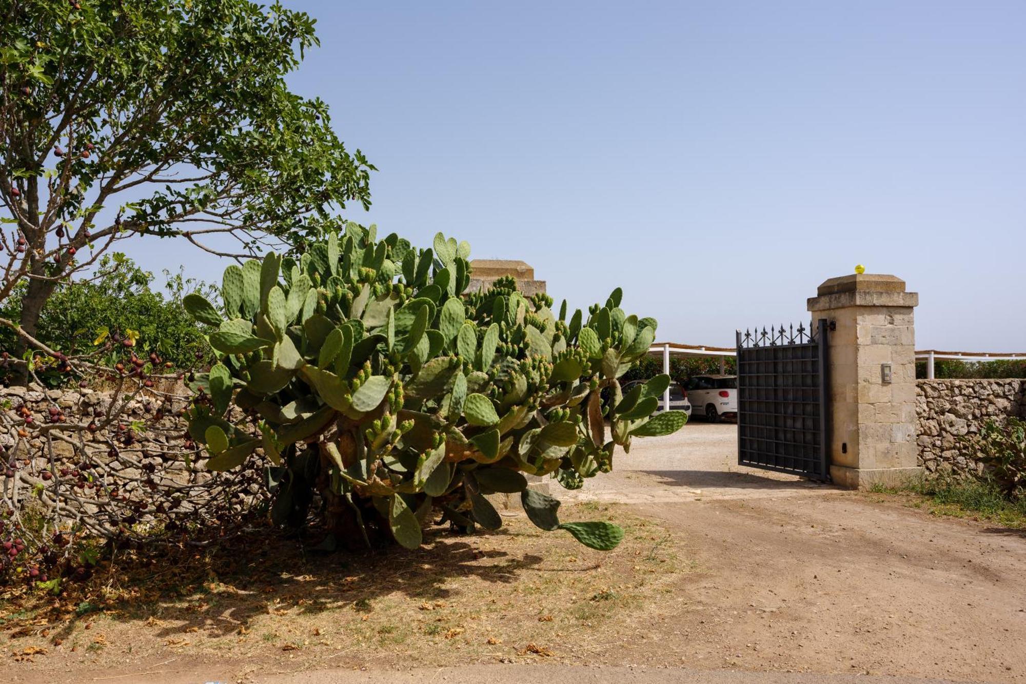 Masseria Bernardini By Symphonya Luxury Rentals Nardò Exteriör bild